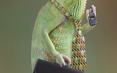 STOP Branding Yourself Like a Chameleon